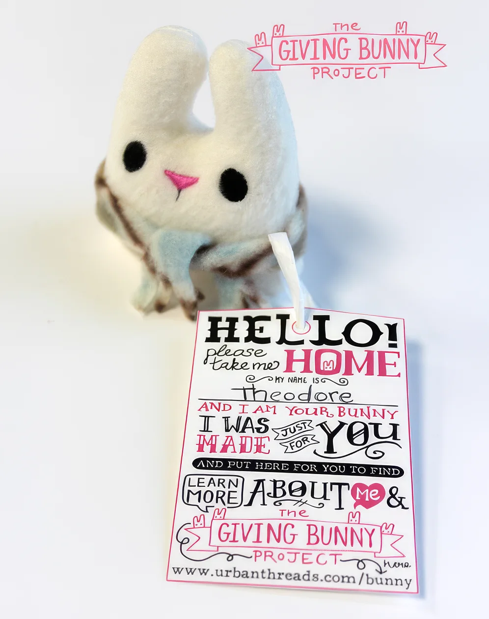 Giving Bunny Campaign 2